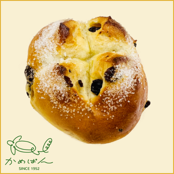 がっちりレーズン